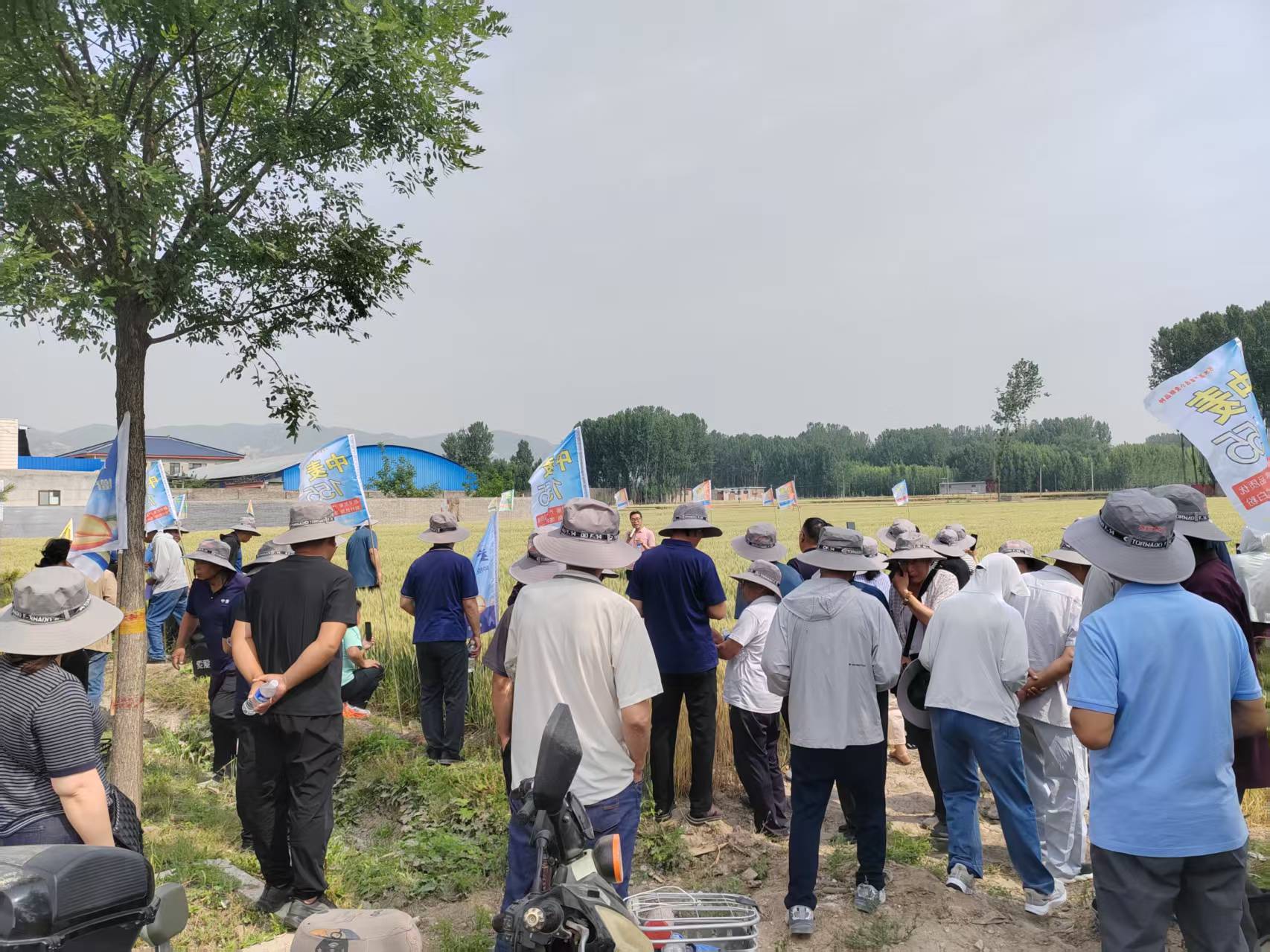 1753171990123450.jpg 微信圖片_20250722134531_3.jpg