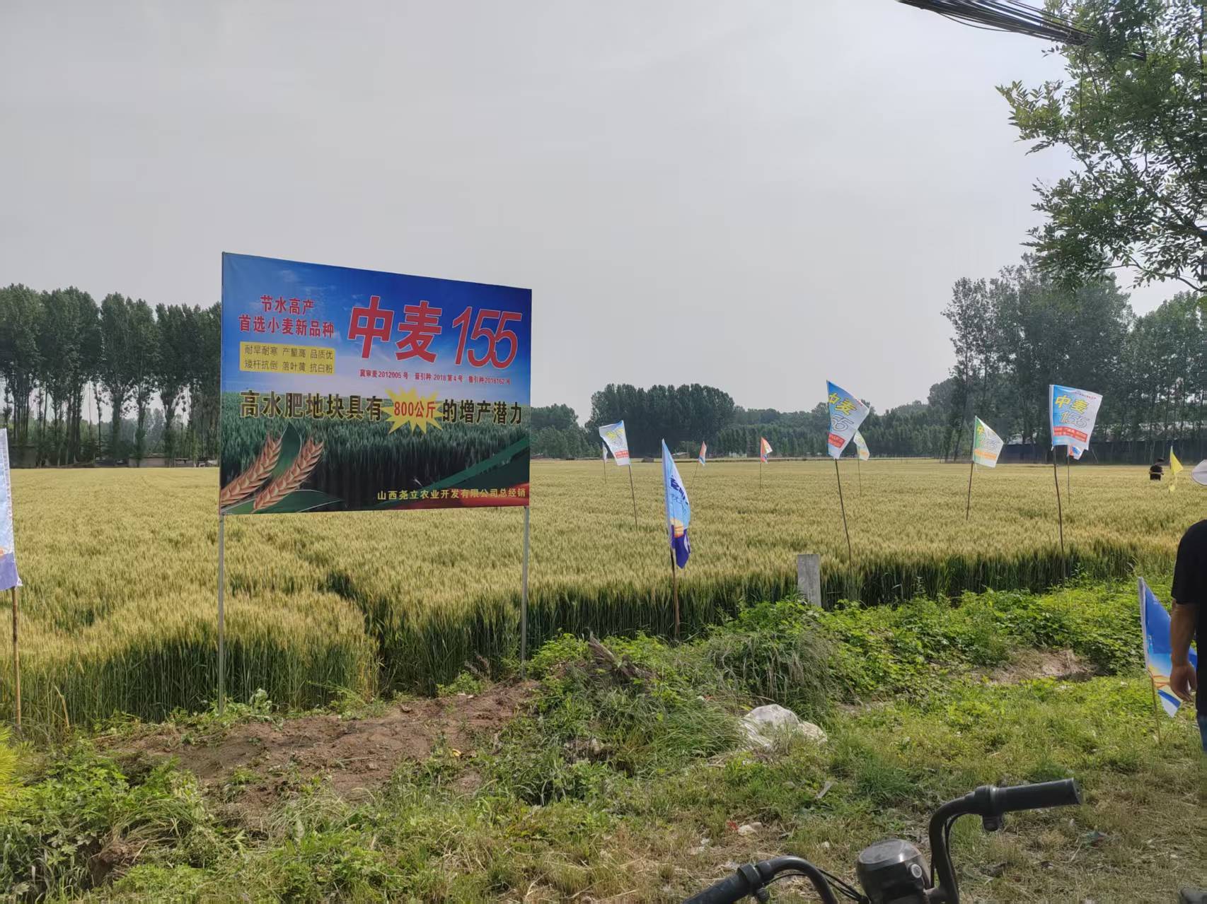 1753172004881538.jpg 微信圖片_20250722134531_4.jpg